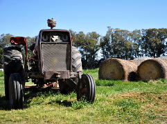 Campo UNLu