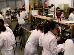 laboratorios